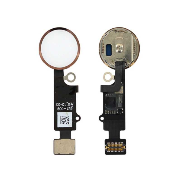Home iPhone 7/7P/8/8P/SE 2020 Gold (JC)